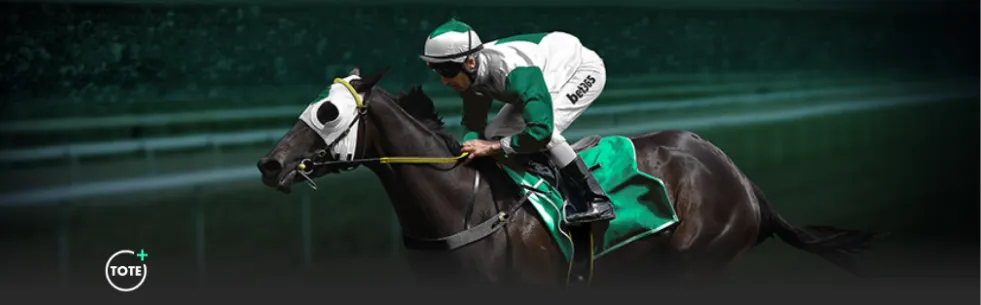 探索独特发,展路径,稳健拓展民,Tcg天成彩票,彩票预测,彩票平台,在线购彩,彩票服务