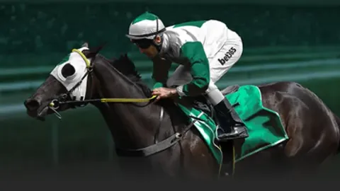 探索独特发展路径，稳健拓展民众民主实践新局面