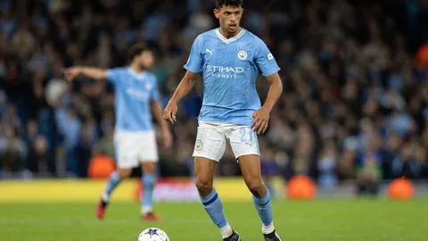 “中国企业国际化战略深度解析：探讨‘走出去’战略视角”